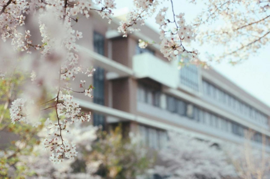 华师大美女学霸里昂